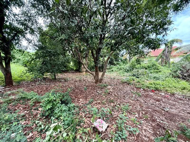 บ้านเดี่ยวพร้อมที่ดินโคกเขริญ ลพบุรี, Lop Buri, Khok Charoen, Lop Buri, 2 Bedrooms, 100 sqm, Single Detached House For Sale, by The Best Property แอม , 500544121 - DDproperty.com