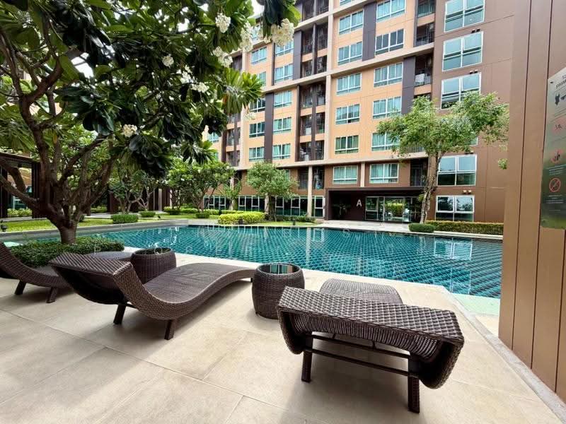 Dcondo Campus Resort Rangsit, Pathum Thani, 89 Soi Mu Ban Kritsana House Khlong Luang Road, Khlong Nung, Khlong Luang, Pathum Thani, 1 Bedroom, 29 sqm, Condo For Sale, by The Best Property เบียร์, 500544284 - DDproperty.com