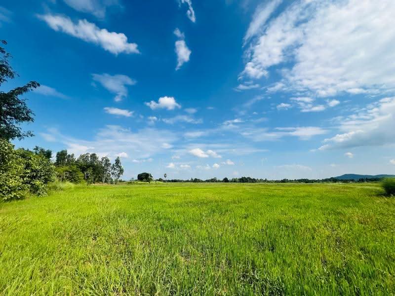 ที่ดินตาคลี นครสวรรค์, นครสวรรค์, หนองโพ, ตาคลี, นครสวรรค์, 26,136 ตร.ม., ที่ดิน ขาย, โดย The Best Property ต้นอ้อ, 500544310 - DDproperty.com