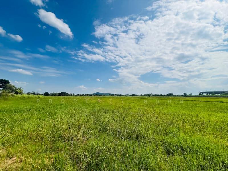 ที่ดินตาคลี นครสวรรค์, นครสวรรค์, หนองโพ, ตาคลี, นครสวรรค์, 26,136 ตร.ม., ที่ดิน ขาย, โดย The Best Property ต้นอ้อ, 500544310 - DDproperty.com