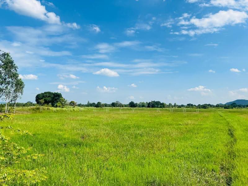 ที่ดินตาคลี นครสวรรค์, นครสวรรค์, หนองโพ, ตาคลี, นครสวรรค์, 26,136 ตร.ม., ที่ดิน ขาย, โดย The Best Property ต้นอ้อ, 500544310 - DDproperty.com