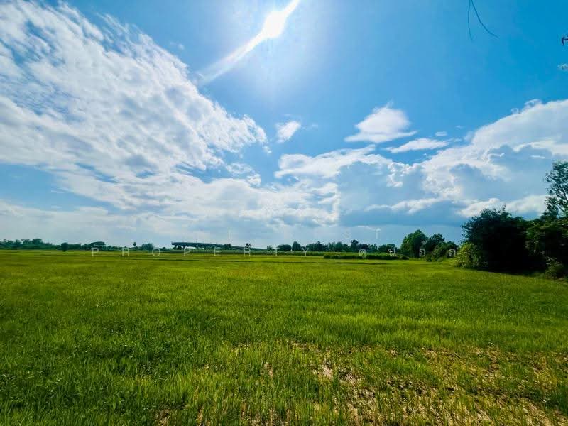 ที่ดินตาคลี นครสวรรค์, นครสวรรค์, หนองโพ, ตาคลี, นครสวรรค์, 26,136 ตร.ม., ที่ดิน ขาย, โดย The Best Property ต้นอ้อ, 500544310 - DDproperty.com
