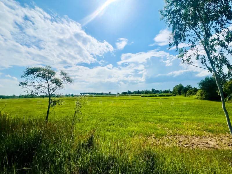 ที่ดินตาคลี นครสวรรค์, นครสวรรค์, หนองโพ, ตาคลี, นครสวรรค์, 26,136 ตร.ม., ที่ดิน ขาย, โดย The Best Property ต้นอ้อ, 500544310 - DDproperty.com