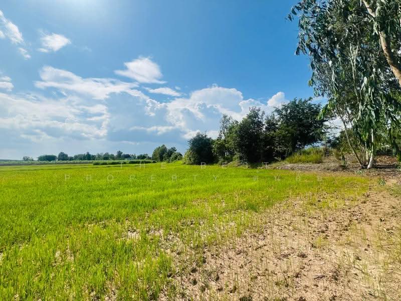 ที่ดินตาคลี นครสวรรค์, นครสวรรค์, หนองโพ, ตาคลี, นครสวรรค์, 26,136 ตร.ม., ที่ดิน ขาย, โดย The Best Property ต้นอ้อ, 500544310 - DDproperty.com