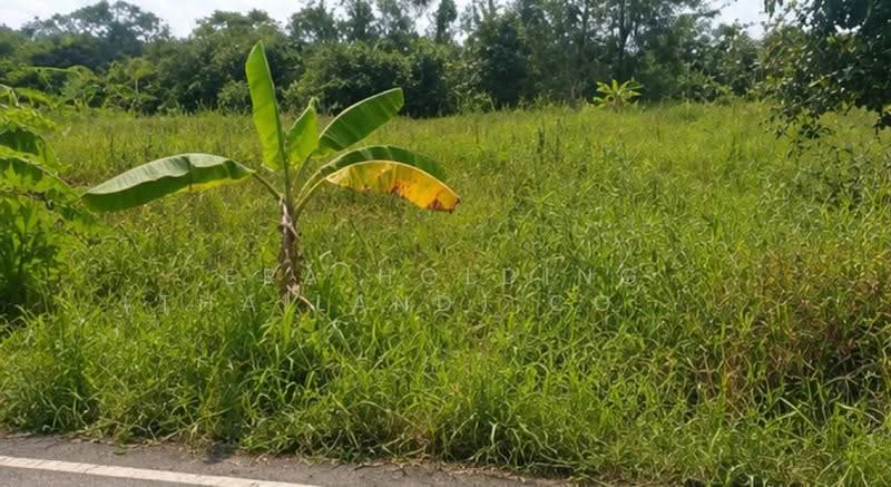 แปลงสวยราคาดี ชะอำ เพชรบุรี, Phetchaburi, Rai Mai Patthana, Cha-Am, Phetchaburi, , 3,200 sqm, Land For Sale, by ERA Holding (Thailand) Co., Ltd., 500544325 - DDproperty.com