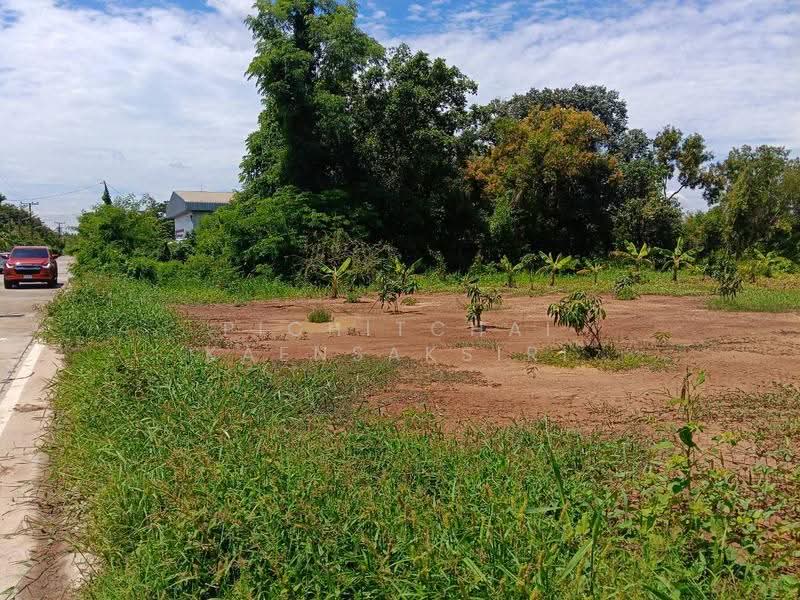 ขายที่ดิน 1 ไร่ ซอย ไอยรา33 ต. คลองสอง อ. คลองหลวง จ.ปทุมธานี, ปทุมธานี, คลองสอง, คลองหลวง, ปทุมธานี, 1,600 ตร.ม., ที่ดิน ขาย, โดย Pichitchai Kaensaksiri, 500544335 - DDproperty.com