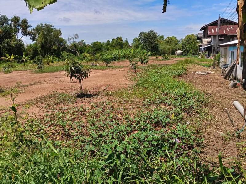 ขายที่ดิน 1 ไร่ ซอย ไอยรา33 ต. คลองสอง อ. คลองหลวง จ.ปทุมธานี, Pathum Thani, Khlong Song, Khlong Luang, Pathum Thani, , 1,600 sqm, Land For Sale, by Pichitchai Kaensaksiri, 500544335 - DDproperty.com