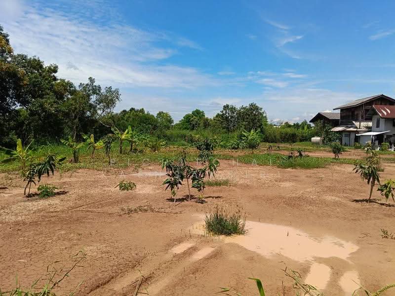 ขายที่ดิน 1 ไร่ ซอย ไอยรา33 ต. คลองสอง อ. คลองหลวง จ.ปทุมธานี, Pathum Thani, Khlong Song, Khlong Luang, Pathum Thani, , 1,600 sqm, Land For Sale, by Pichitchai Kaensaksiri, 500544335 - DDproperty.com