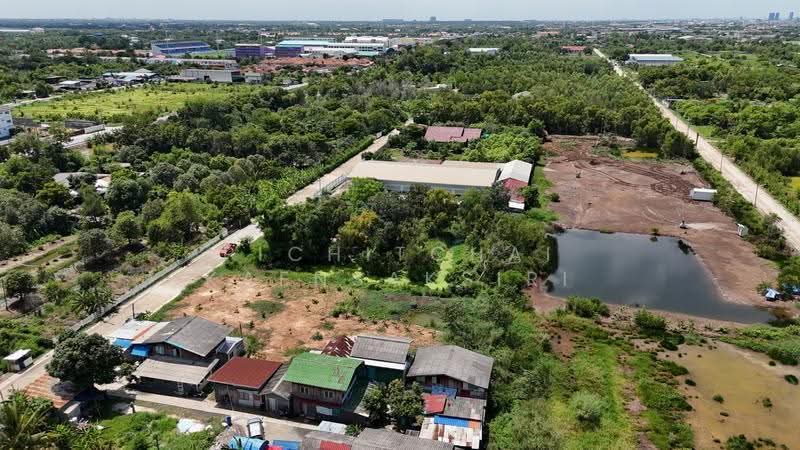 ขายที่ดิน 1 ไร่ ซอย ไอยรา33 ต. คลองสอง อ. คลองหลวง จ.ปทุมธานี, ปทุมธานี, คลองสอง, คลองหลวง, ปทุมธานี, 1,600 ตร.ม., ที่ดิน ขาย, โดย Pichitchai Kaensaksiri, 500544335 - DDproperty.com