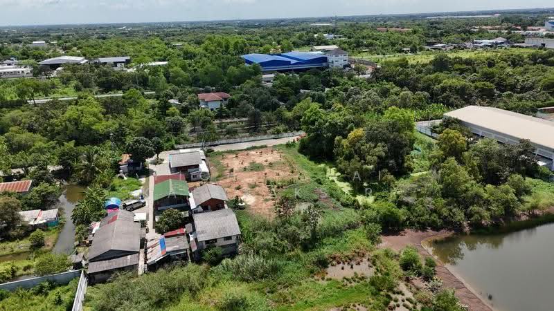 ขายที่ดิน 1 ไร่ ซอย ไอยรา33 ต. คลองสอง อ. คลองหลวง จ.ปทุมธานี, ปทุมธานี, คลองสอง, คลองหลวง, ปทุมธานี, 1,600 ตร.ม., ที่ดิน ขาย, โดย Pichitchai Kaensaksiri, 500544335 - DDproperty.com