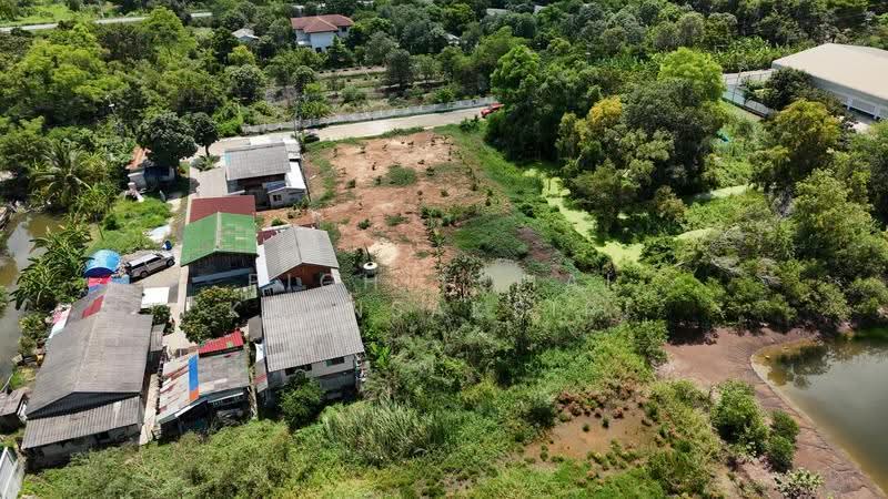 ขายที่ดิน 1 ไร่ ซอย ไอยรา33 ต. คลองสอง อ. คลองหลวง จ.ปทุมธานี, ปทุมธานี, คลองสอง, คลองหลวง, ปทุมธานี, 1,600 ตร.ม., ที่ดิน ขาย, โดย Pichitchai Kaensaksiri, 500544335 - DDproperty.com