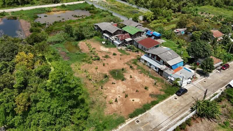 ขายที่ดิน 1 ไร่ ซอย ไอยรา33 ต. คลองสอง อ. คลองหลวง จ.ปทุมธานี, Pathum Thani, Khlong Song, Khlong Luang, Pathum Thani, , 1,600 sqm, Land For Sale, by Pichitchai Kaensaksiri, 500544335 - DDproperty.com