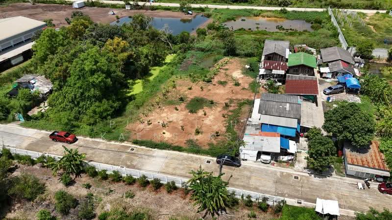 ขายที่ดิน 1 ไร่ ซอย ไอยรา33 ต. คลองสอง อ. คลองหลวง จ.ปทุมธานี, Pathum Thani, Khlong Song, Khlong Luang, Pathum Thani, , 1,600 sqm, Land For Sale, by Pichitchai Kaensaksiri, 500544335 - DDproperty.com