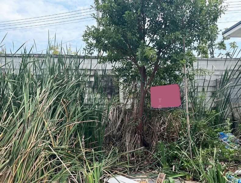ที่ดินลำลูกกา ปทุมธานี, Pathum Thani, Lam Luk Ka, Pathum Thani, , 280 sqm, Land For Sale, by The Best Property พิมพ์ , 500544426 - DDproperty.com