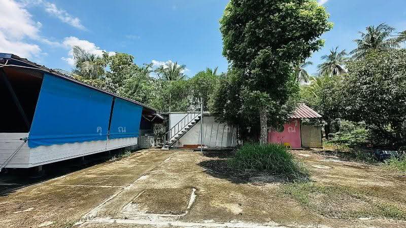 บ้านเดี่ยว ที่ดิน 1 ไร่ 3 งาน คลองชะโด สามชุก สุพรรณบุรี วิวสวย ราคาถูกมาก, Suphan Buri, ริมคลองชลประทานบ้านควาย (สุพรรณบุรี-ชัยนาท), Yan Yao, Sam Chuk, Suphan Buri, 2 Bedrooms, 190 sqm, Single Detached House For Sale, by คุณ ธนพวรรณ (ณวรรณ), 500544454 - DDproperty.com