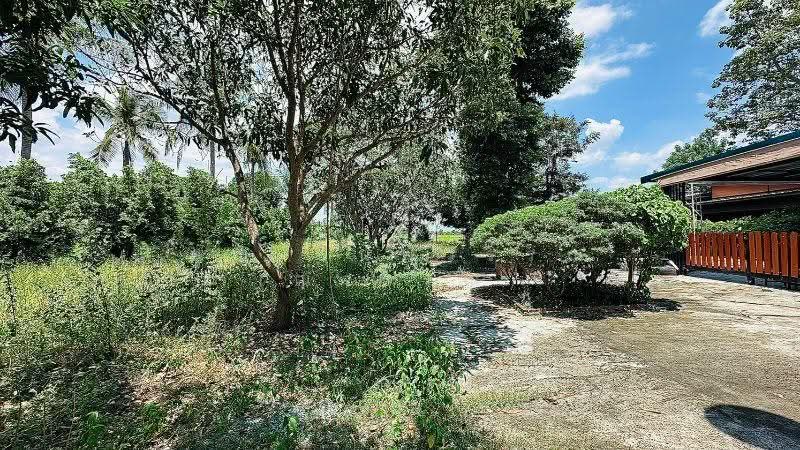 บ้านเดี่ยว ที่ดิน 1 ไร่ 3 งาน คลองชะโด สามชุก สุพรรณบุรี วิวสวย ราคาถูกมาก, Suphan Buri, ริมคลองชลประทานบ้านควาย (สุพรรณบุรี-ชัยนาท), Yan Yao, Sam Chuk, Suphan Buri, 2 Bedrooms, 190 sqm, Single Detached House For Sale, by คุณ ธนพวรรณ (ณวรรณ), 500544454 - DDproperty.com