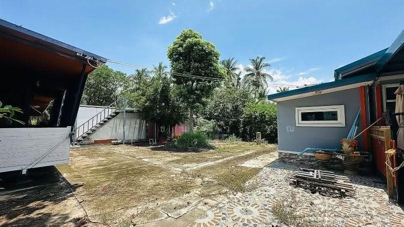 บ้านเดี่ยว ที่ดิน 1 ไร่ 3 งาน คลองชะโด สามชุก สุพรรณบุรี วิวสวย ราคาถูกมาก, Suphan Buri, ริมคลองชลประทานบ้านควาย (สุพรรณบุรี-ชัยนาท), Yan Yao, Sam Chuk, Suphan Buri, 2 Bedrooms, 190 sqm, Single Detached House For Sale, by คุณ ธนพวรรณ (ณวรรณ), 500544454 - DDproperty.com