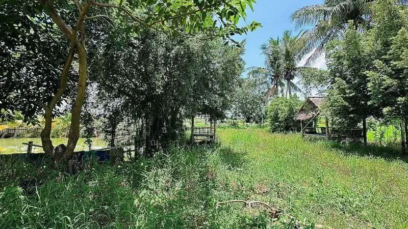 บ้านเดี่ยว ที่ดิน 1 ไร่ 3 งาน คลองชะโด สามชุก สุพรรณบุรี วิวสวย ราคาถูกมาก, Suphan Buri, ริมคลองชลประทานบ้านควาย (สุพรรณบุรี-ชัยนาท), Yan Yao, Sam Chuk, Suphan Buri, 2 Bedrooms, 190 sqm, Single Detached House For Sale, by คุณ ธนพวรรณ (ณวรรณ), 500544454 - DDproperty.com