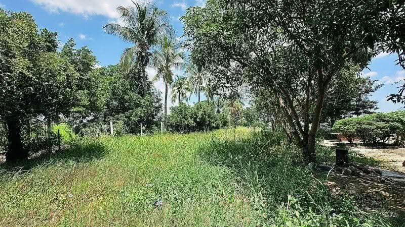 บ้านเดี่ยว ที่ดิน 1 ไร่ 3 งาน คลองชะโด สามชุก สุพรรณบุรี วิวสวย ราคาถูกมาก, Suphan Buri, ริมคลองชลประทานบ้านควาย (สุพรรณบุรี-ชัยนาท), Yan Yao, Sam Chuk, Suphan Buri, 2 Bedrooms, 190 sqm, Single Detached House For Sale, by คุณ ธนพวรรณ (ณวรรณ), 500544454 - DDproperty.com