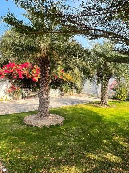 undefined, Prachuap Khiri Khan, Hin Lek Fai, Hua Hin, Prachuap Khiri Khan, 3 Bedrooms, 127 sqm, Villa For Rent, by Kradumthong Wongchan, 500544471 - DDproperty.com