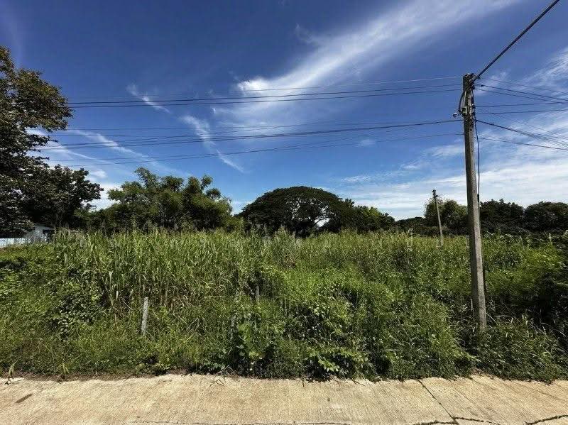 ที่ดิน บ้านปทุม สามโคก ทำเลดี ติดถนนสาธารณะ ถมแล้ว ใกล้ความเจริญ, ปทุมธานี, สามโคก-ปทุมธานี, บ้านปทุม, สามโคก, ปทุมธานี, 2,128 ตร.ม., ที่ดิน ขาย, โดย คุณ ภรณ์ทิพย์ (ปุ๋ย), 500544543 - DDproperty.com