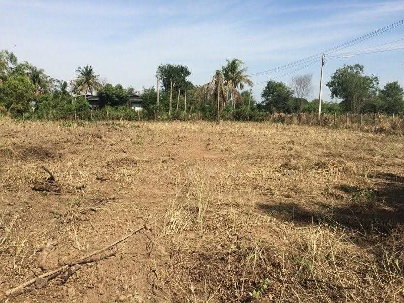 ที่ดิน บ้านปทุม สามโคก ทำเลดี ติดถนนสาธารณะ ถมแล้ว ใกล้ความเจริญ, ปทุมธานี, สามโคก-ปทุมธานี, บ้านปทุม, สามโคก, ปทุมธานี, 2,128 ตร.ม., ที่ดิน ขาย, โดย คุณ ภรณ์ทิพย์ (ปุ๋ย), 500544543 - DDproperty.com