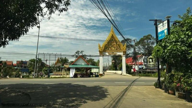 ที่ดิน บ้านปทุม สามโคก ทำเลดี ติดถนนสาธารณะ ถมแล้ว ใกล้ความเจริญ, ปทุมธานี, สามโคก-ปทุมธานี, บ้านปทุม, สามโคก, ปทุมธานี, 2,128 ตร.ม., ที่ดิน ขาย, โดย คุณ ภรณ์ทิพย์ (ปุ๋ย), 500544543 - DDproperty.com