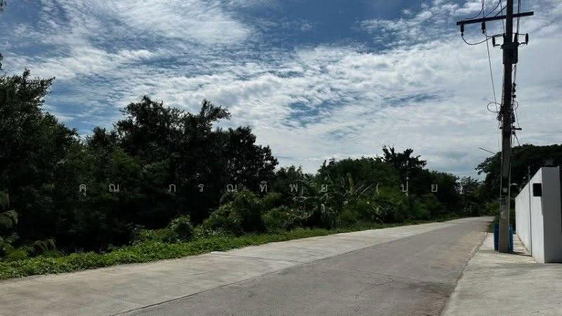 ที่ดิน บ้านปทุม สามโคก ทำเลดี ติดถนนสาธารณะ ถมแล้ว ใกล้ความเจริญ, ปทุมธานี, สามโคก-ปทุมธานี, บ้านปทุม, สามโคก, ปทุมธานี, 2,128 ตร.ม., ที่ดิน ขาย, โดย คุณ ภรณ์ทิพย์ (ปุ๋ย), 500544543 - DDproperty.com