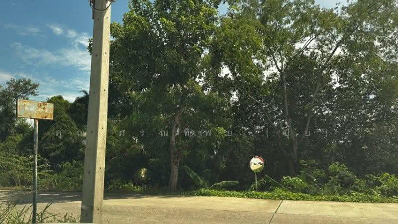 ที่ดิน บ้านปทุม สามโคก ทำเลดี ติดถนนสาธารณะ ถมแล้ว ใกล้ความเจริญ, ปทุมธานี, สามโคก-ปทุมธานี, บ้านปทุม, สามโคก, ปทุมธานี, 2,128 ตร.ม., ที่ดิน ขาย, โดย คุณ ภรณ์ทิพย์ (ปุ๋ย), 500544543 - DDproperty.com