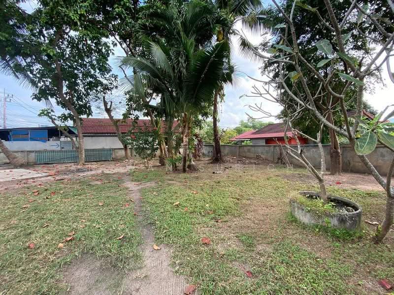 2-BR House, Surat Thani, Bo Put, Ko Samui, Surat Thani, 2 Bedrooms, 300 sqm, Single Detached House For Sale, by Tanawan Surichai, 500544806 - DDproperty.com
