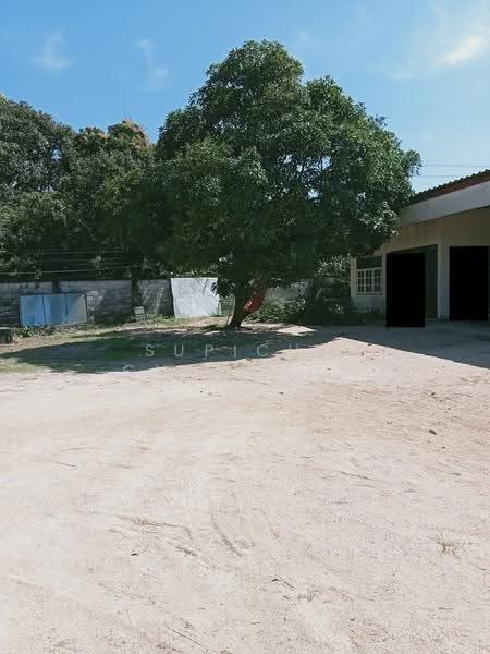 3-BR House, Chon Buri (Pattaya), Nong Pla Lai, Bang Lamung (Pattaya), Chon Buri (Pattaya), 3 Bedrooms, 100 sqm, Single Detached House For Sale, by Supicha Chorjong, 500545242 - DDproperty.com