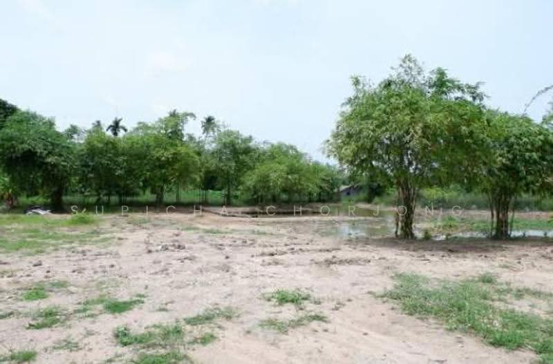 3-BR House, Chon Buri (Pattaya), Nong Pla Lai, Bang Lamung (Pattaya), Chon Buri (Pattaya), 3 Bedrooms, 100 sqm, Single Detached House For Sale, by Supicha Chorjong, 500545242 - DDproperty.com