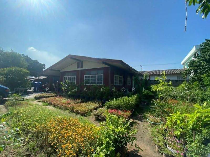 2-BR House, Chon Buri (Pattaya), Na Kloe, Bang Lamung (Pattaya), Chon Buri (Pattaya), 2 Bedrooms, 50 sqm, Single Detached House For Sale, by Supicha Chorjong, 500545250 - DDproperty.com