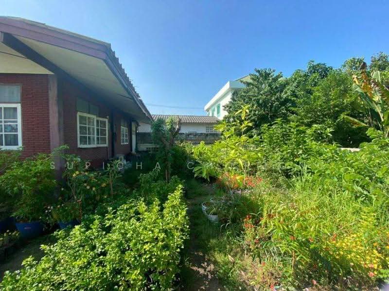 2-BR House, Chon Buri (Pattaya), Na Kloe, Bang Lamung (Pattaya), Chon Buri (Pattaya), 2 Bedrooms, 50 sqm, Single Detached House For Sale, by Supicha Chorjong, 500545250 - DDproperty.com