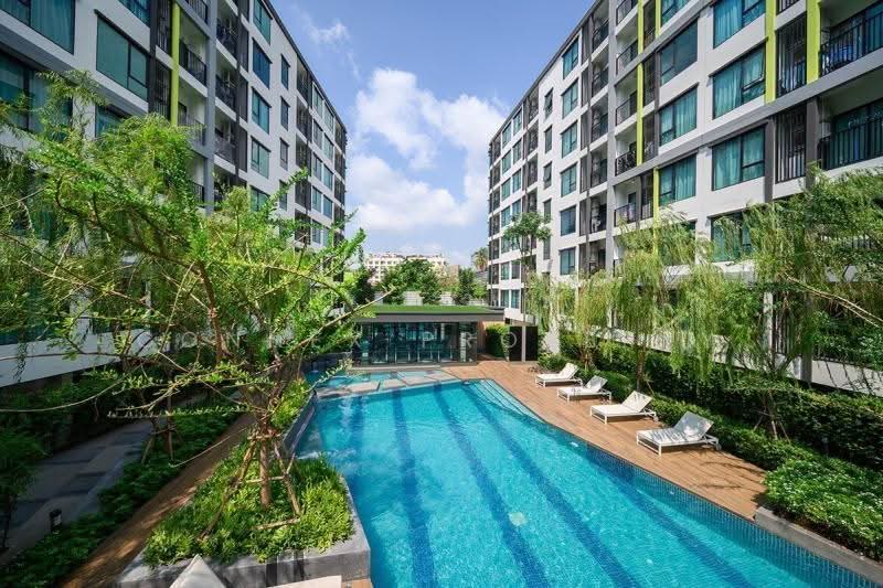 The Niche Mono Sukhumvit 50 : นิช โมโน สุขุมวิท 50, กรุงเทพ, ซอยเริ่มเจริญ ถนนสุขุมวิท50, พระโขนง, คลองเตย, กรุงเทพ, 31 ตร.ม., คอนโด ให้เช่า, โดย Connex Property, 500545301 - DDproperty.com