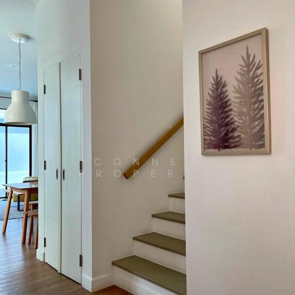 MONO Plus Palai, Phuket, Soi Chalong, Chalong, Muang Phuket, Phuket, 3 Bedrooms, 170 sqm, Single Detached House For Rent, by Connex Property, 500545335 - DDproperty.com