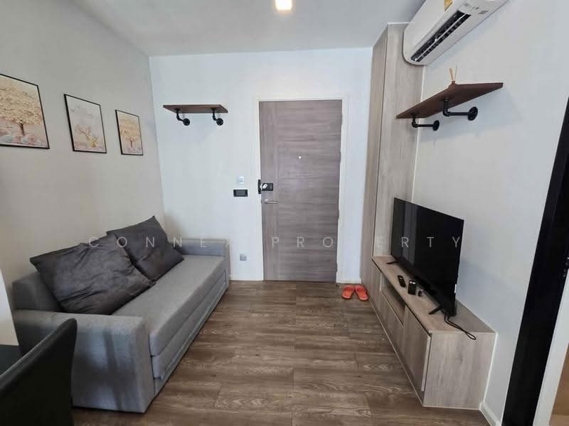 Modiz Sukhumvit 50, Bangkok, Soi Sukhumvit 50, Phra Kanong, Khlong Toei, Bangkok, 1 Bedroom, 31 sqm, Condo For Rent, by Connex Property, 500545372 - DDproperty.com