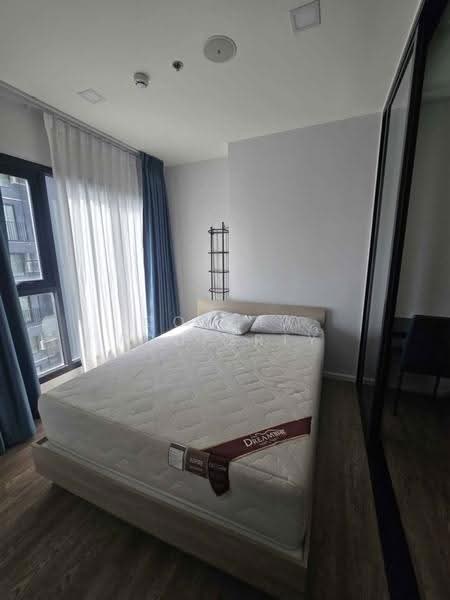 Modiz Sukhumvit 50, Bangkok, Soi Sukhumvit 50, Phra Kanong, Khlong Toei, Bangkok, 1 Bedroom, 31 sqm, Condo For Rent, by Connex Property, 500545372 - DDproperty.com