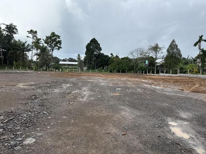 Land for sale Paklok Phuket, Phuket, Pa Khlok, Thalang, Phuket, , 4,132 sqm, Land For Sale, by Orawan Nueangchompoo, 500545682 - DDproperty.com