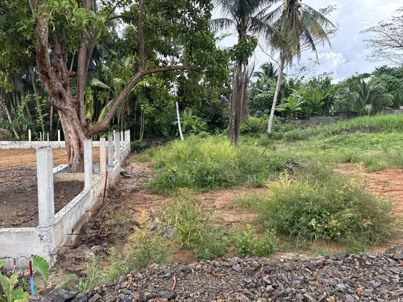 ที่ดินป่าคลอก ภูเก็ต, ภูเก็ต, ป่าคลอก, ถลาง, ภูเก็ต, 4,132 ตร.ม., ที่ดิน ขาย, โดย Orawan Nueangchompoo, 500545682 - DDproperty.com