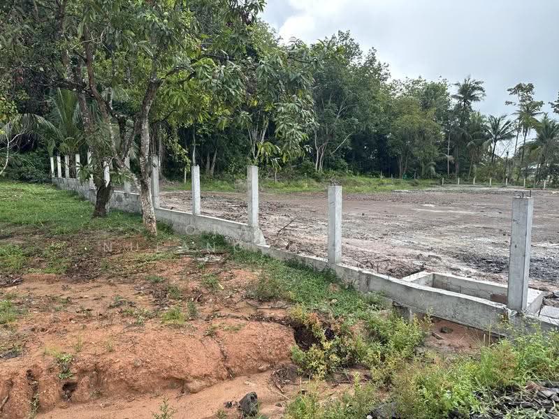 ที่ดินป่าคลอก ภูเก็ต, ภูเก็ต, ป่าคลอก, ถลาง, ภูเก็ต, 4,132 ตร.ม., ที่ดิน ขาย, โดย Orawan Nueangchompoo, 500545682 - DDproperty.com