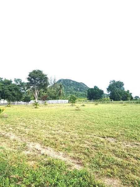 1-BR House, Chon Buri (Pattaya), Na Kloe, Bang Lamung (Pattaya), Chon Buri (Pattaya), 1 Bedroom, 400 sqm, Single Detached House For Sale, by Chalisa Kitilimtrakul, 500545806 - DDproperty.com