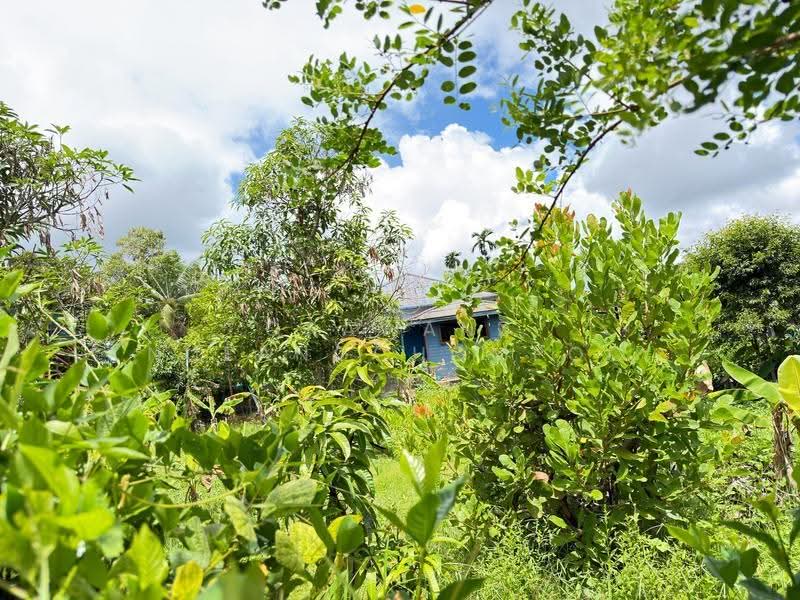 Land for sale Ban Don Phuket, Phuket, Thep Krasattri, Thalang, Phuket, , 3,304 sqm, Land For Sale, by Orawan Nueangchompoo, 500545808 - DDproperty.com
