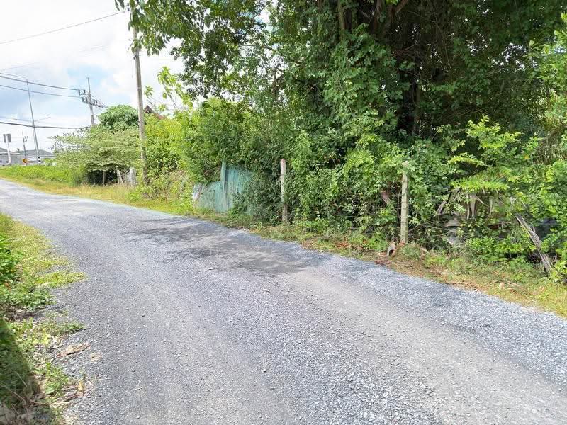 Land for sale Ban Don Phuket, Phuket, Thep Krasattri, Thalang, Phuket, , 3,304 sqm, Land For Sale, by Orawan Nueangchompoo, 500545808 - DDproperty.com