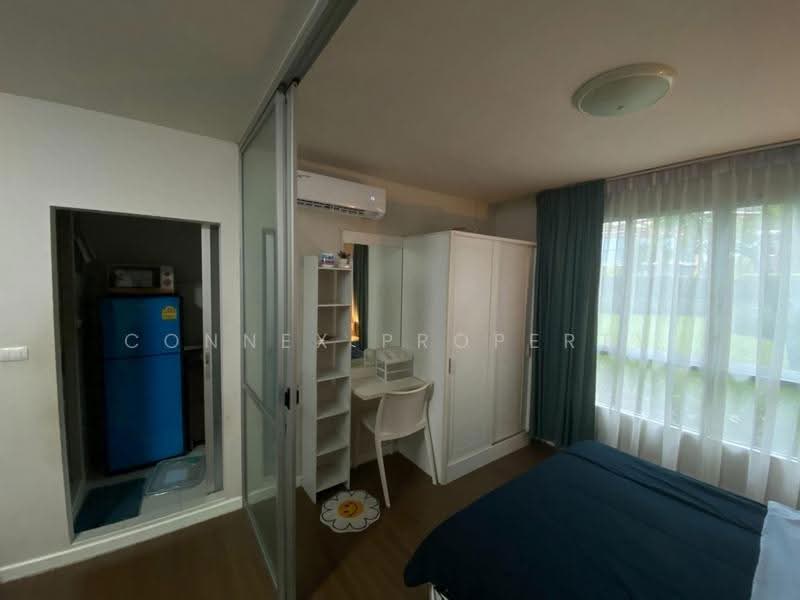 Dcondo Creek Phuket : ดีคอนโด ครีก ภูเก็ต, ภูเก็ต, 81 ม.2, กะทู้, ภูเก็ต, 30 ตร.ม., คอนโด ให้เช่า, โดย Connex Property, 500545917 - DDproperty.com