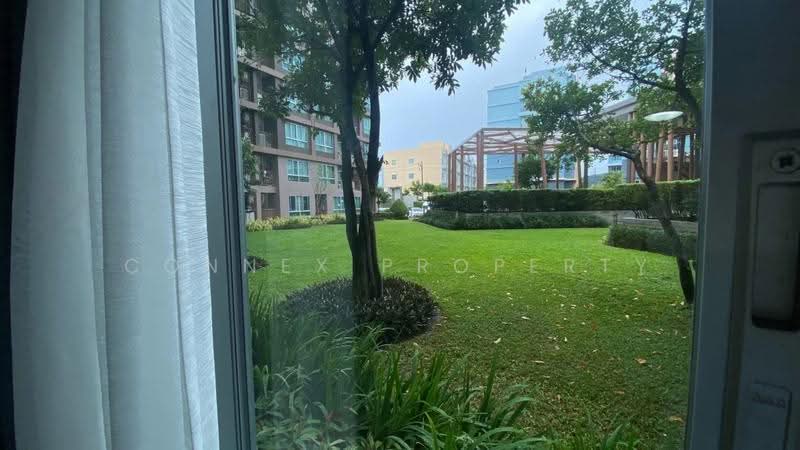 Dcondo Creek Phuket, Phuket, 81 Moo 2, Kathu, Phuket, 1 Bedroom, 30 sqm, Condo For Rent, by Connex Property, 500545917 - DDproperty.com