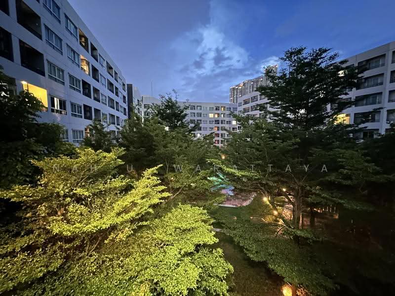 Elio Del Ray, Bangkok, 95 Sukhumvit 64 Road, Bang Chak, Phra Khanong, Bangkok, 1 Bedroom, 34 sqm, Condo For Rent, by Nah-U., 500546062 - DDproperty.com