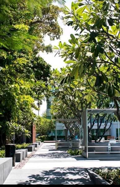 Baan Sandao, Prachuap Khiri Khan, 57 Phet Kasem Rd, Hua Hin, Prachuap Khiri Khan, 2 Bedrooms, 73 sqm, Condo For Rent, by Chalisa Kitilimtrakul, 500546107 - DDproperty.com
