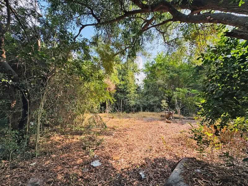 ที่ดินสัตหีบ ชลบุรี, ชลบุรี, สัตหีบ, ชลบุรี, 4,104 ตร.ม., Land ขาย, โดย The Best Property ทราย , 500546536 - DDproperty.com
