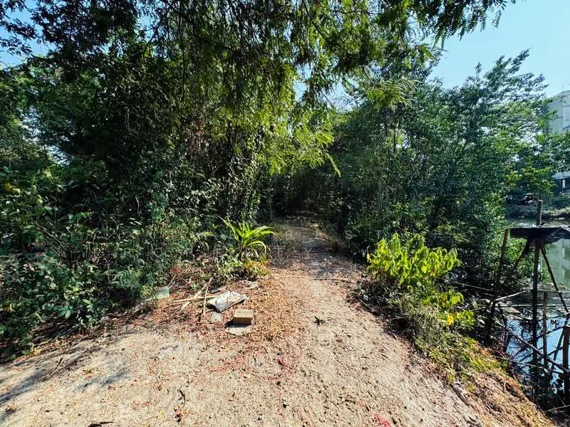 ที่ดินสัตหีบ ชลบุรี, Chon Buri (Pattaya), Sattahip, Chon Buri (Pattaya), , 4,104 sqm, Land For Sale, by The Best Property ทราย , 500546536 - DDproperty.com